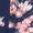 Navy Floral Skater Dress With V-Front Frill - Image 5