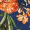 Navy Floral Square Neck Top - Image 6