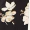 Navy Floral Wrap Culotte Jumpsuit - Image 9