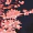 Navy Front Button Floral Dress - Image 5