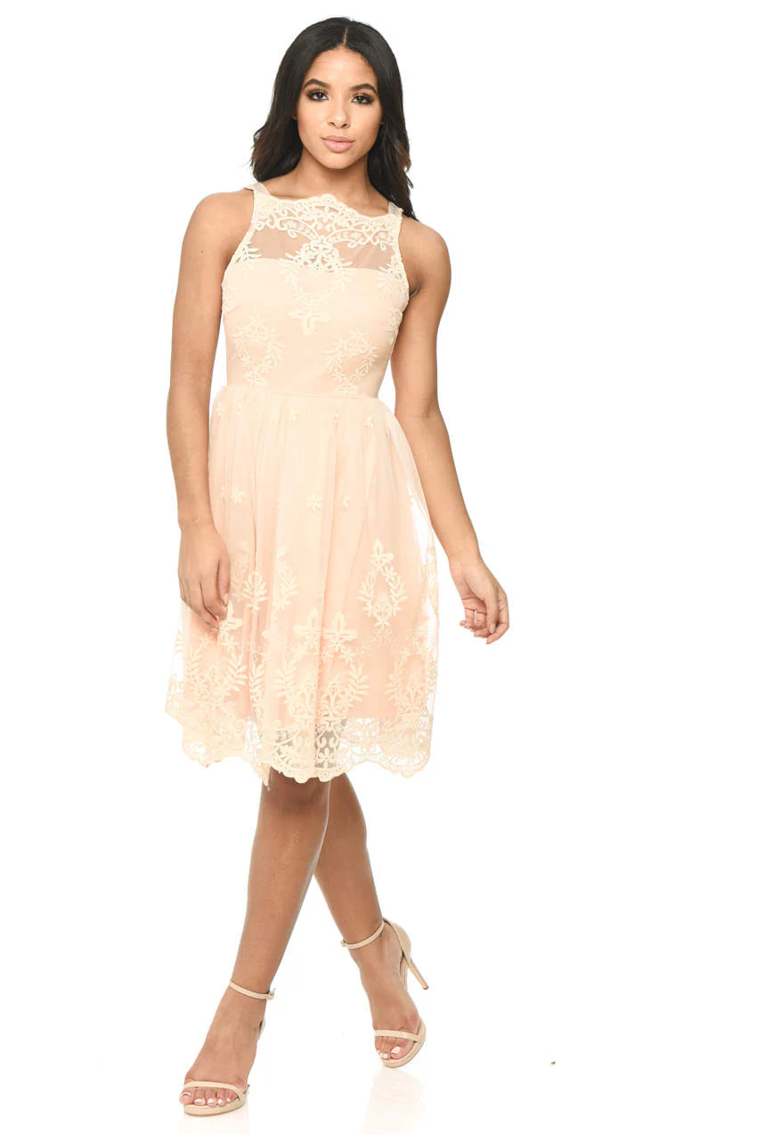 Nude Lace Detail Dress With Full Skirt - Image 2