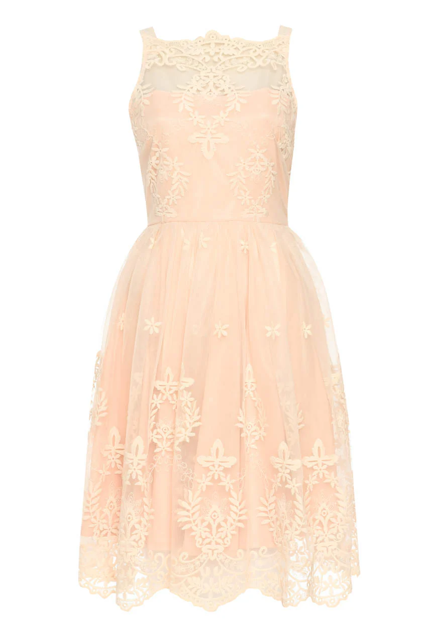 Nude Lace Detail Dress With Full Skirt - Image 4