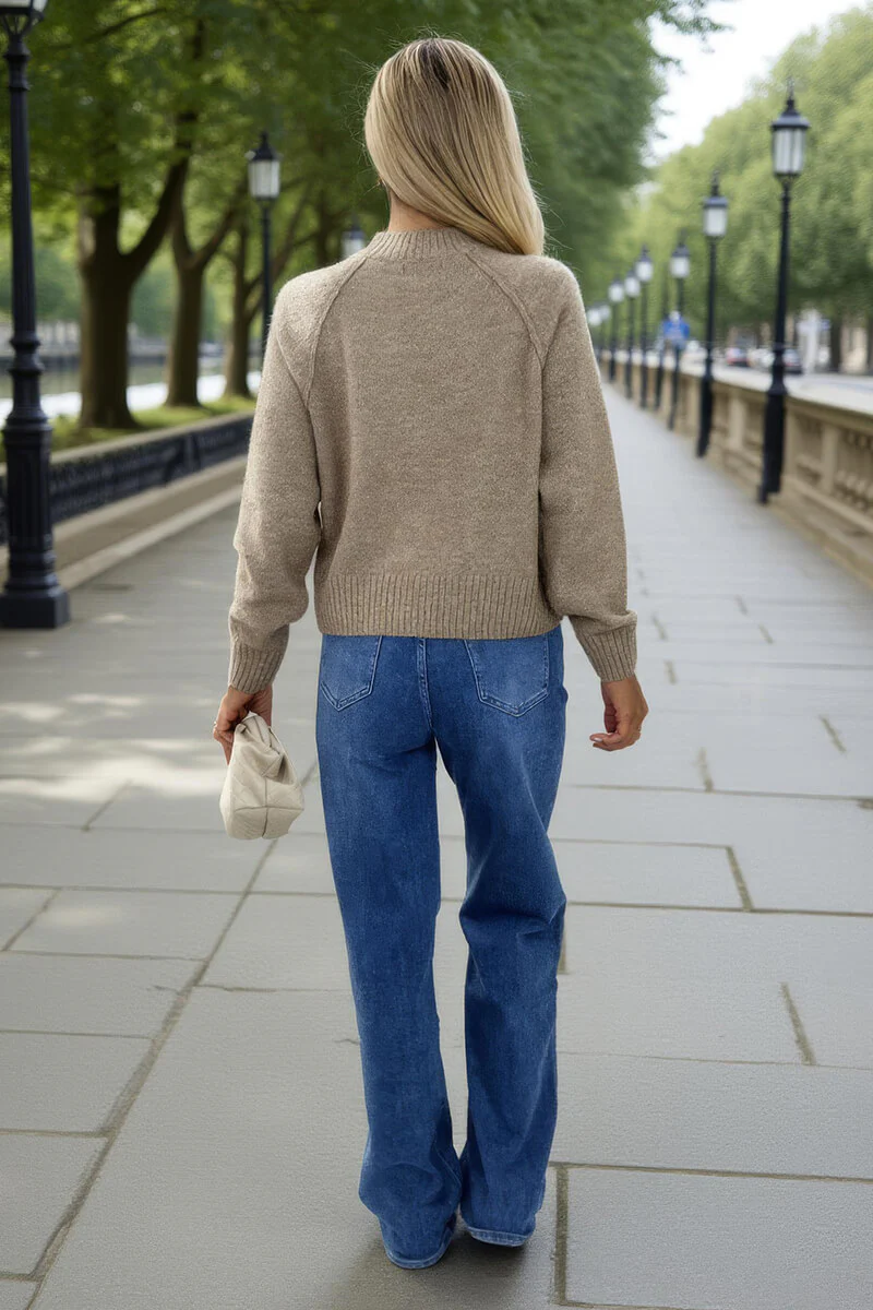 Oatmeal Mock Neck Seam Detail Jumper - Image 5