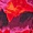 Orange And Purple Abstract Print Halter Neck Draped Waist Midi Dress - Image 6