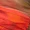 Orange Ombre Mesh One Shoulder Asymmetric Hem Ruched Midi Dress - Image 6
