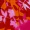 Pink And Orange Floral One Shoulder Frill Detail Top - Image 7