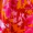 Pink And Orange Floral One Shoulder Frill Mini Dress - Image 5