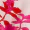 Pink Floral One Shoulder Frill Playsuit - Image 5