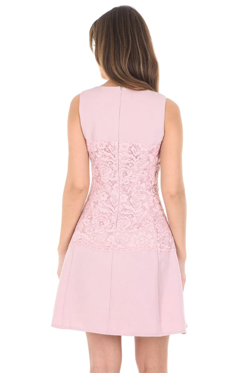 Pink Lace Waist Skater Dress - Image 3
