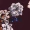 Plum Floral Cold Shoulder Top - Image 5