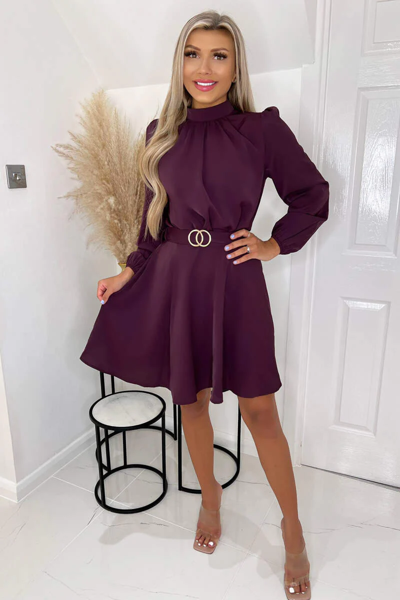 Plum High Neck Long Puff Sleeve Belted Skater Dress
