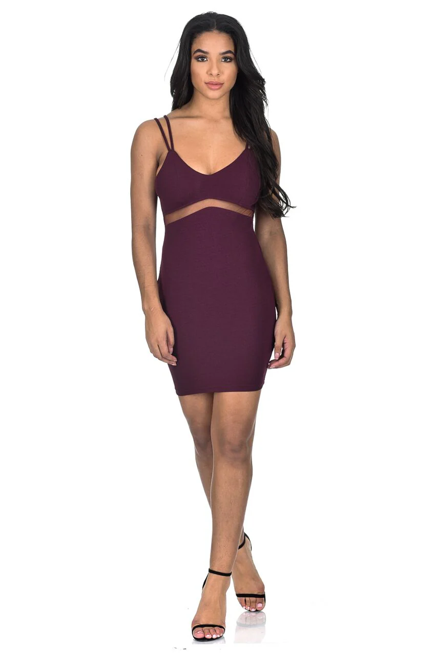 Plum Mesh Bodycon Dress - Image 2