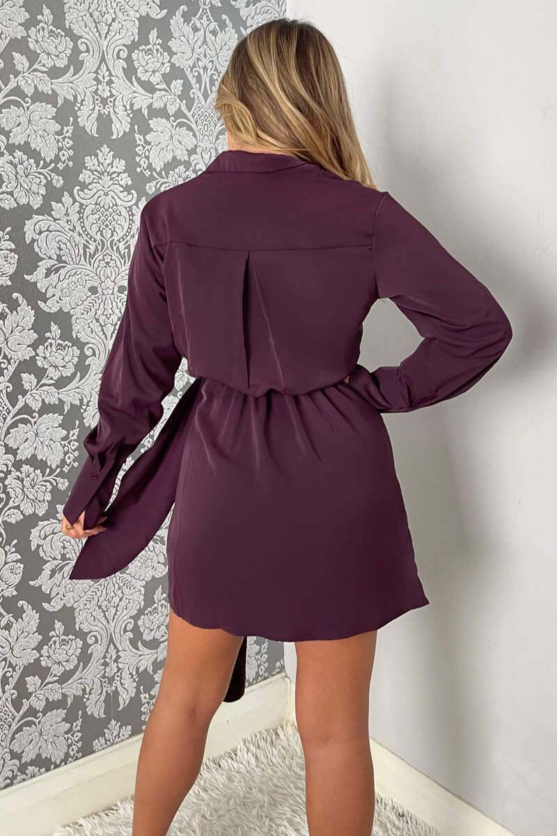 Plum Tie Wrap Long Sleeve Mini Dress - Image 4