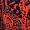 Red And Black Printed Long Sleeve Belted Skater Dress - Image 5