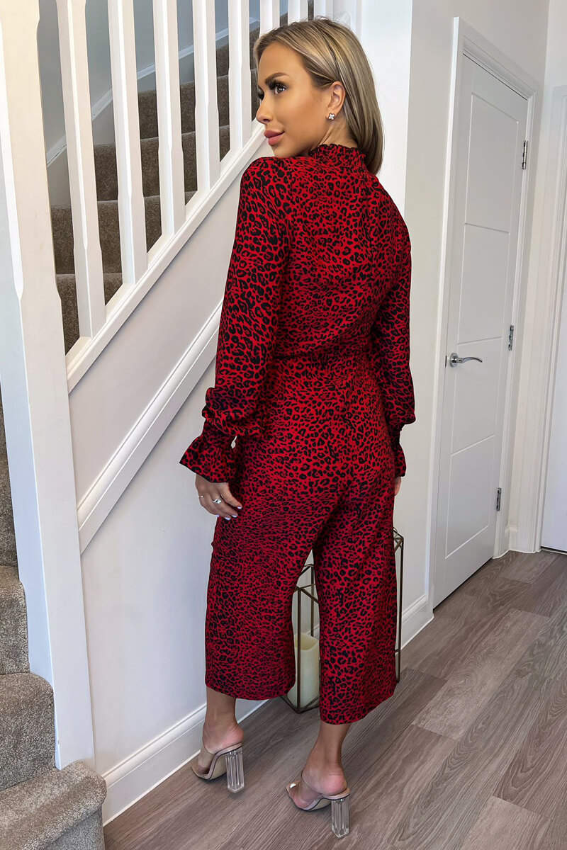 Red Animal Print Elasticated Neck Jumpsuit - Image 4