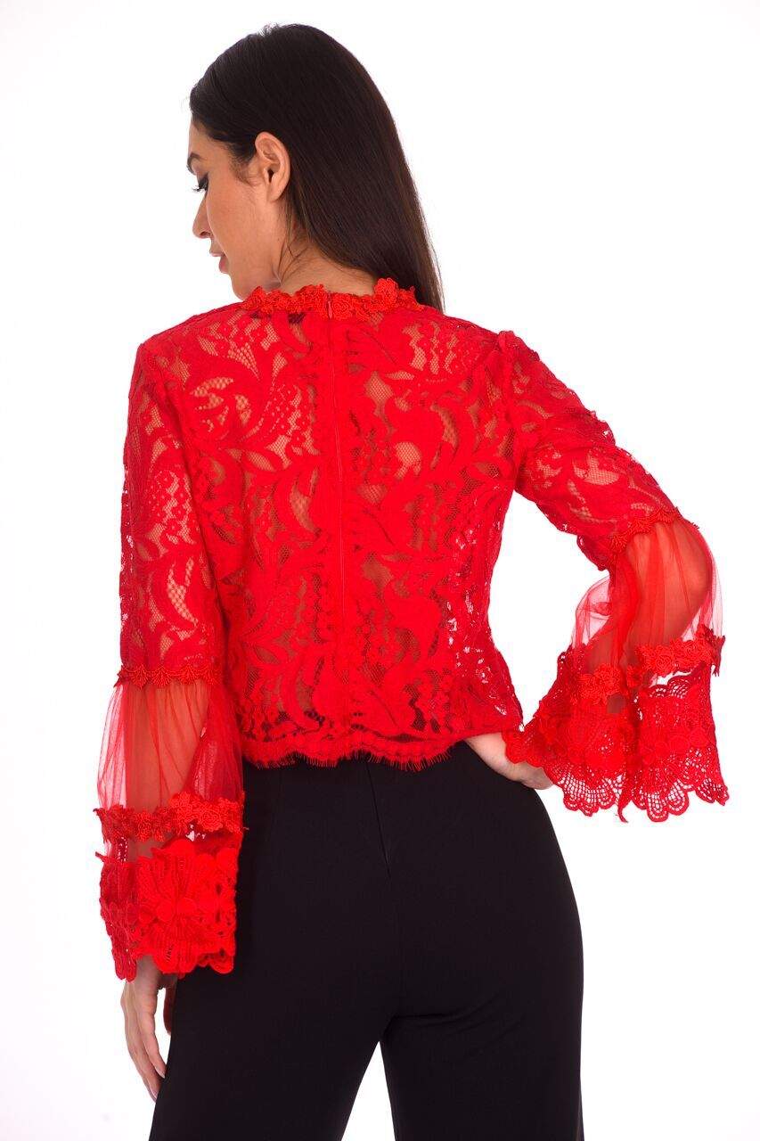 Red Sheer Lace Long Sleeve Top - Image 3