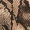 Snake Print Cross Over Bodysuit - Image 6