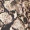 Snake Print Frill Wrap Dress - Image 6