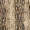 Snake Print Frill Wrap Midi Dress - Image 8