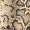 Snake Print Ruched One Shoulder Bodysuit - Image 7