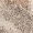 Snake Printed Blouse - Image 5