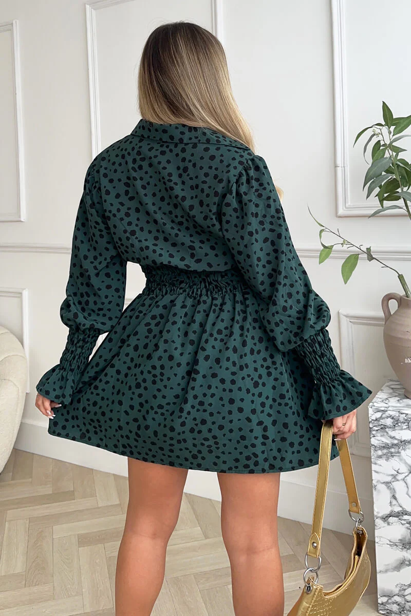 Teal Printed Shirred Detail Long Sleeve Shirt Skater Dress - Image 4
