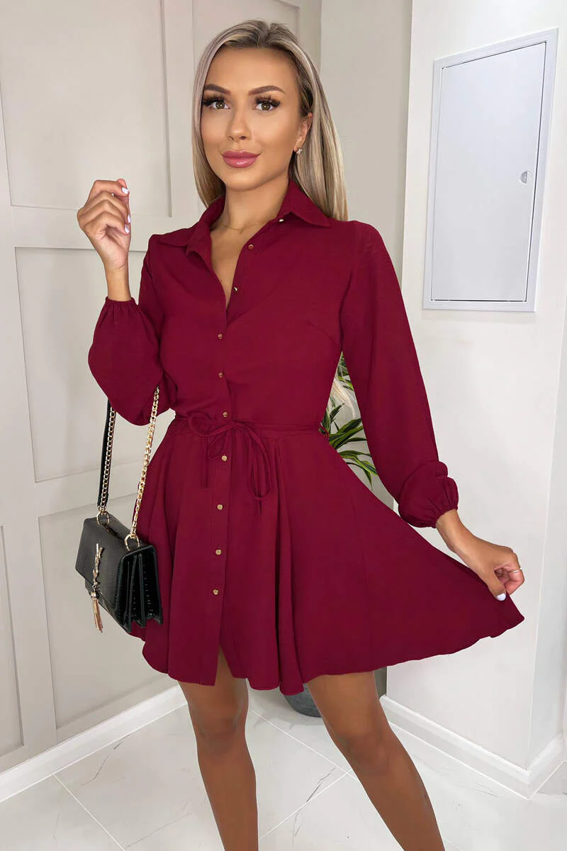 Wine Long Sleeve Belted Pleated Skater Dress - Image 3