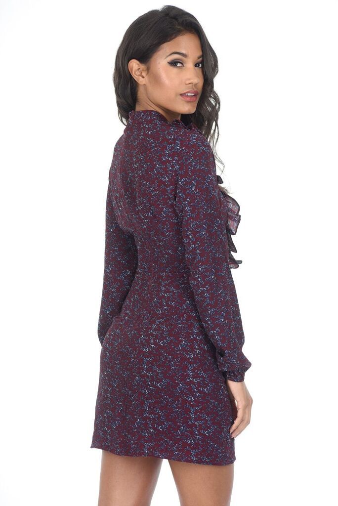 Wine Long Sleeve Frill Detail Skater Dress - Image 3