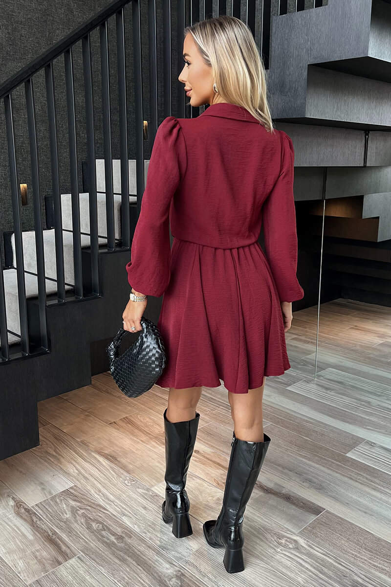 Wine Long Sleeve Mini Skater Dress - Image 5