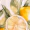 Yellow Lemon Print Waist Cut Out Frill Hem Midi Dress - Image 6