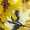 Yellow Sunflower Print Strappy Racer Neck Mini Dress - Image 6