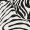 Zebra Print Choker Neck Dress - Image 6