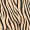 Zebra Print Frill Dress - Image 7